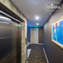 Molton Monapart Mecidiyekoy 