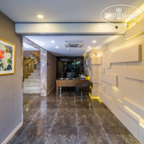 Molton Monapart Mecidiyekoy