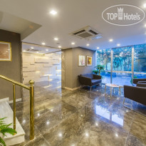 Molton Monapart Mecidiyekoy