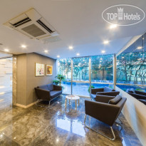 Molton Monapart Mecidiyekoy