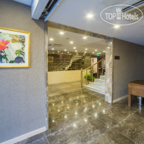 Molton Monapart Mecidiyekoy