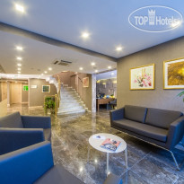 Molton Monapart Mecidiyekoy