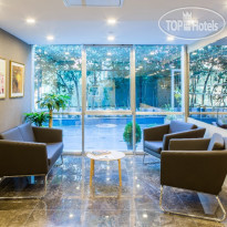 Molton Monapart Mecidiyekoy