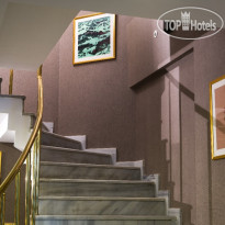 Molton Monapart Mecidiyekoy