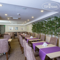 Molton Monapart Mecidiyekoy