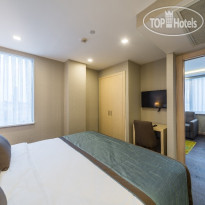 Molton Monapart Mecidiyekoy