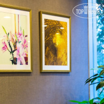 Molton Monapart Mecidiyekoy