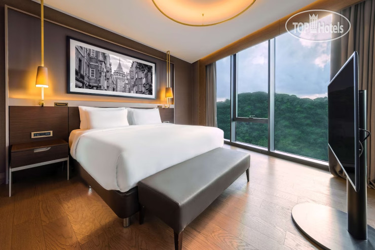 Hotel photo Radisson Collection Hotel Vadistanbul 5*