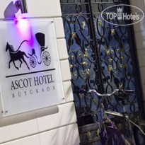 Ascot