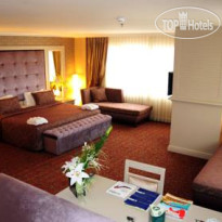 Dream Hill Business Deluxe 