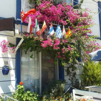 Antonio Hotel