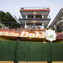 White Dahlia Hotel