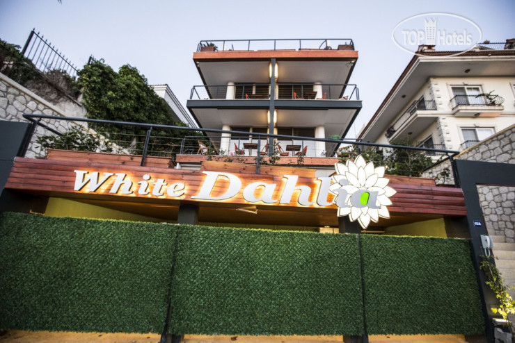 White Dahlia Hotel