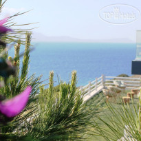 Mavi Panorama Hotel
