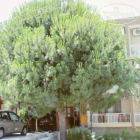 Albergo Cesme Hotel