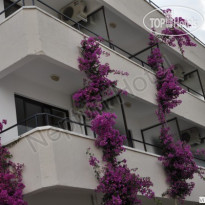 Neptun Hotel