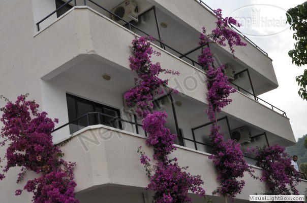 Neptun Hotel
