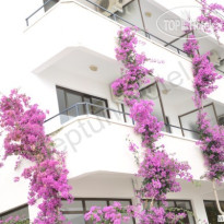 Neptun Hotel