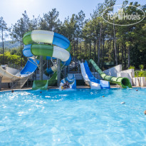 Orka Lotus Beach