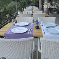 Serena Suites 