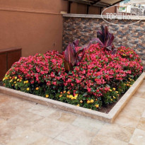 Comet Hotel Deluxe Marmaris 