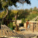 Doga Pension 