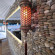 Yacht Boheme Hotel 