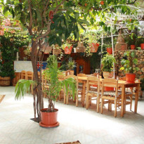 Ferah Hotel Monica's Place 