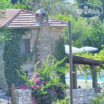 Pure Life Villa 