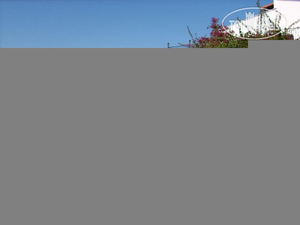 New photos from tourists Meldi Hotel