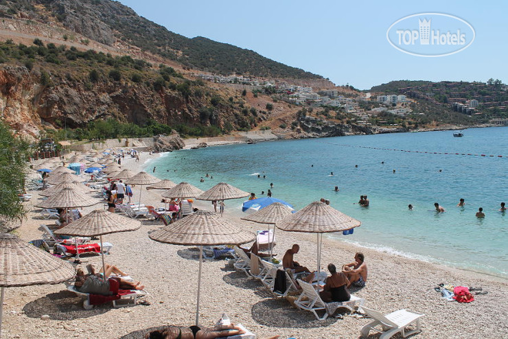 New photos from tourists Lizo Hotel