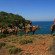 Gorkem Hotel & Apartments 
