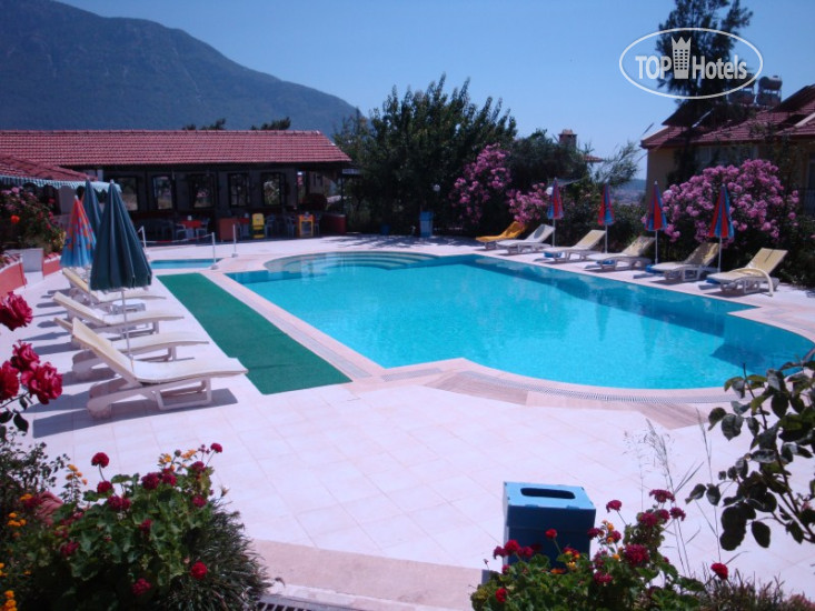 New photos from tourists Umit Hotel
