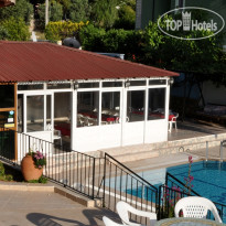 Tarzan Family Hotel