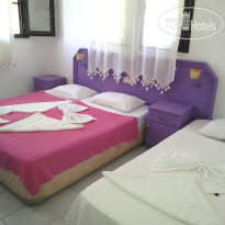 Tarzan Family Hotel