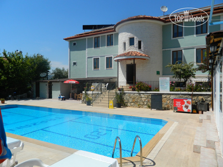 Hotelier's photos Tarzan Family Hotel