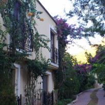 Paradise Garden Hotel 