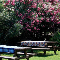 Isa M. Guesthouse Сад