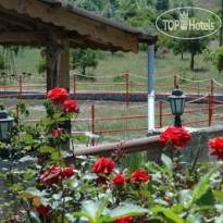 Isa M. Guesthouse Отель