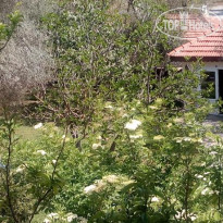 Baris Hotel