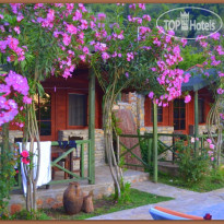 Montenegro Motel 