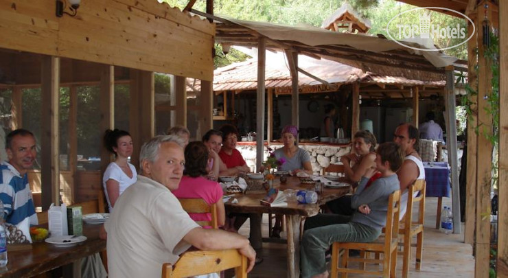 New photos from tourists Yuva Eco Holiday Yoga Retreat