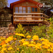 Olive Garden Kabak Hotel 