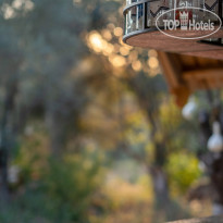 Pure Life Gocek