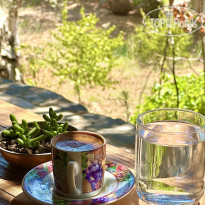 Pure Life Gocek