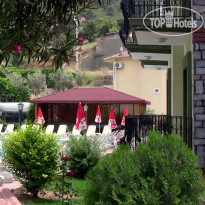 Seden