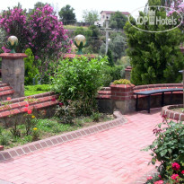 Seden