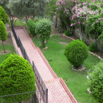 Seden