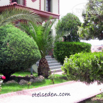 Seden