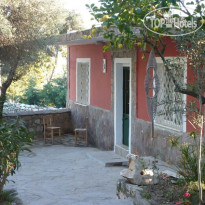 Medusa House